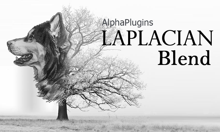 AlphaPlugins LaplacianBlend plug-in