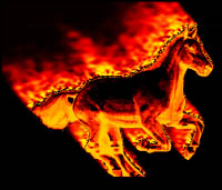 Fired Horse