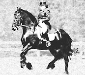 Engraved rider